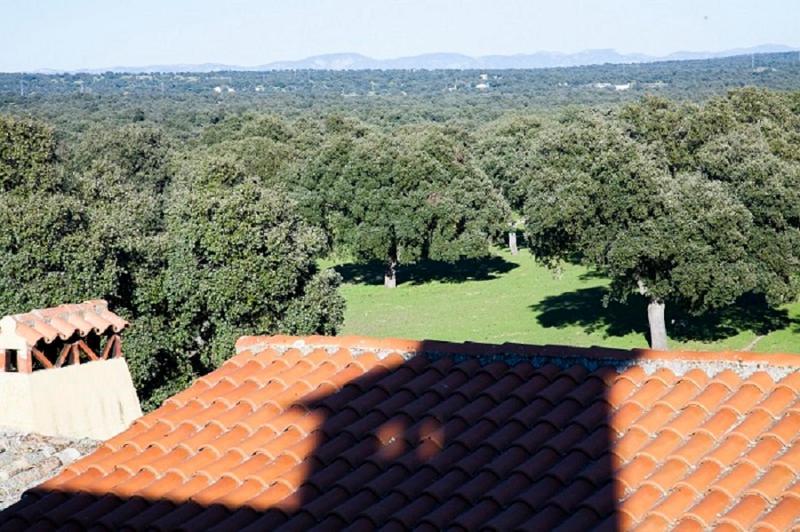 Cortijo Charcollana Villa Pozoblanco Eksteriør bilde
