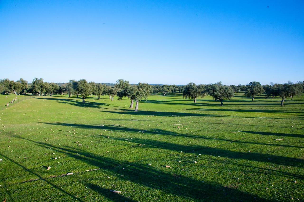 Cortijo Charcollana Villa Pozoblanco Eksteriør bilde